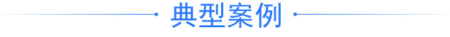 典型案例